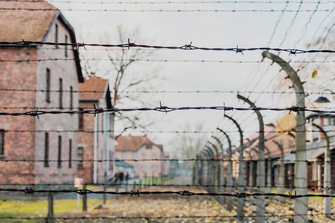 Auschwitz-Birkenau Memorial and Museum Guided Tour From Krakow - Professional Guide