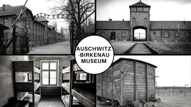 Auschwitz-Birkenau: Museum Entry Ticket With Guided Tour - Inclusions and Requirements