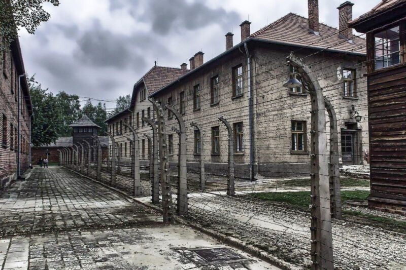 Auschwitz-Birkenau: Museum Entry Ticket With Guided Tour - Historical Context