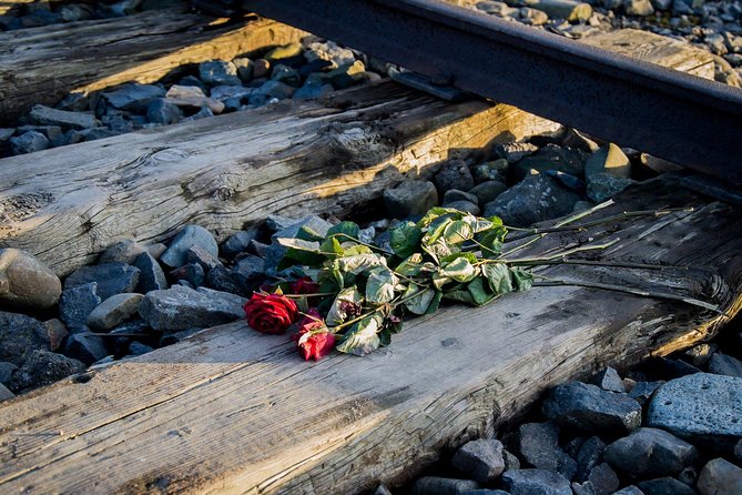 Auschwitz-Birkenau Museum Guided Tour With Ticket and Transfer - Logistics