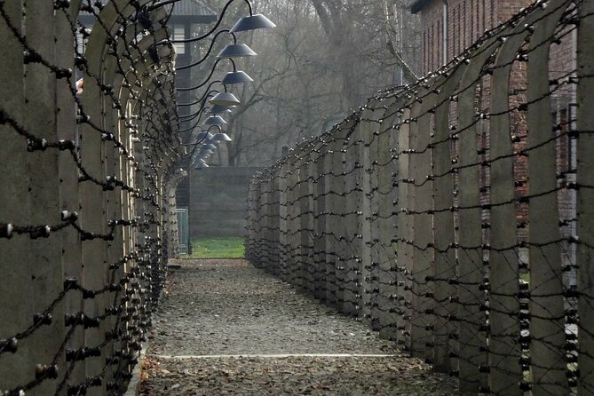 Auschwitz-Birkenau Private Tour From Krakow - Guided Tour and Historical Insights