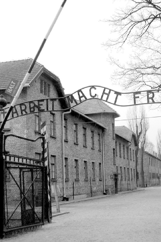 Auschwitz-Birkenau & Salt Mine Tour in One Day From Krakow - Wieliczka Salt Mine: UNESCO Site