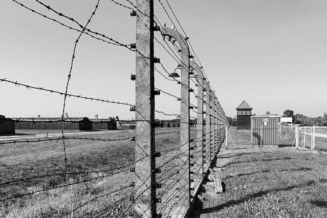 Auschwitz-Birkenau Self-Guided Tour From Krakow - Historical Significance of the Site
