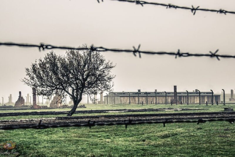 Auschwitz-Birkenau: Skip-the-Line Entry Ticket & Guided Tour - Guided Tour of the Camps
