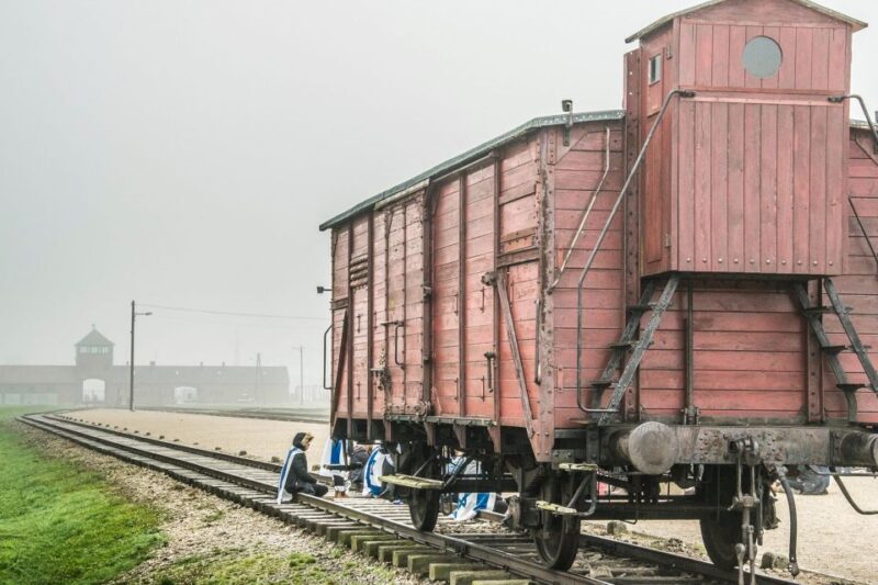 Auschwitz-Birkenau: Skip-the-Line Entry Ticket & Guided Tour - Insights From Professional Educator