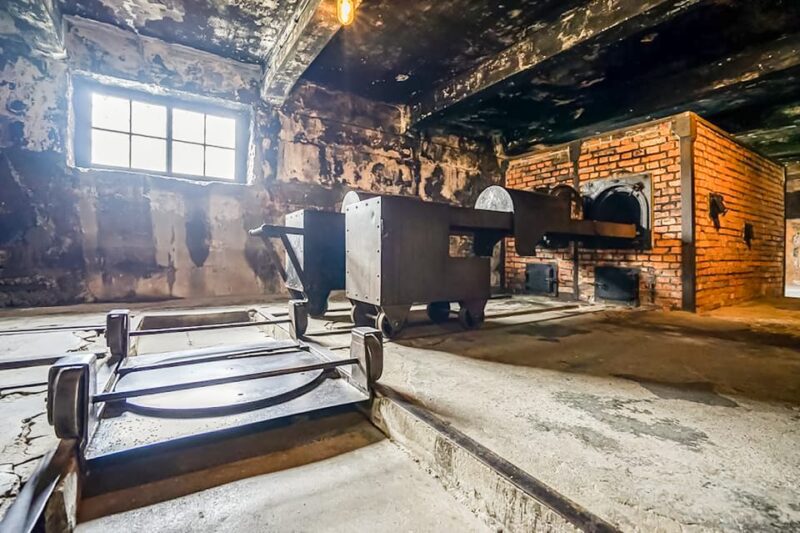 Auschwitz-Birkenau Skip-the-Line Guided Tour - Inclusions and Amenities