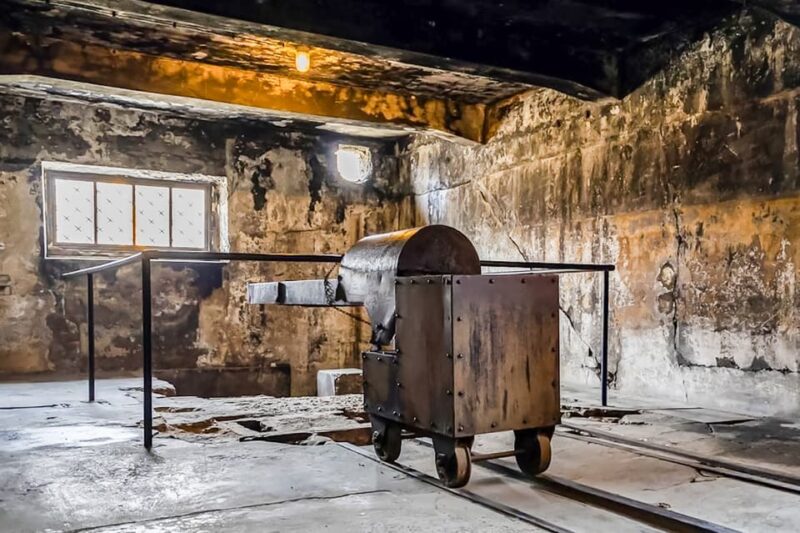 Auschwitz-Birkenau Skip-the-Line Guided Tour - Customer Feedback and Ratings