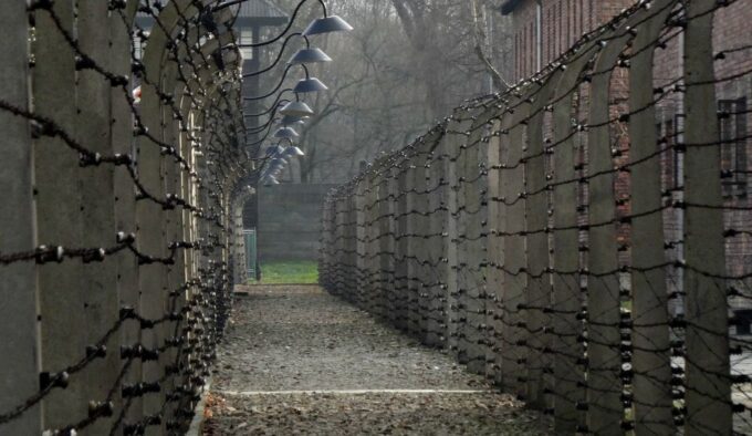 Auschwitz-Birkenau Tour From Katowice With Private Transfers - Customer Feedback and Ratings