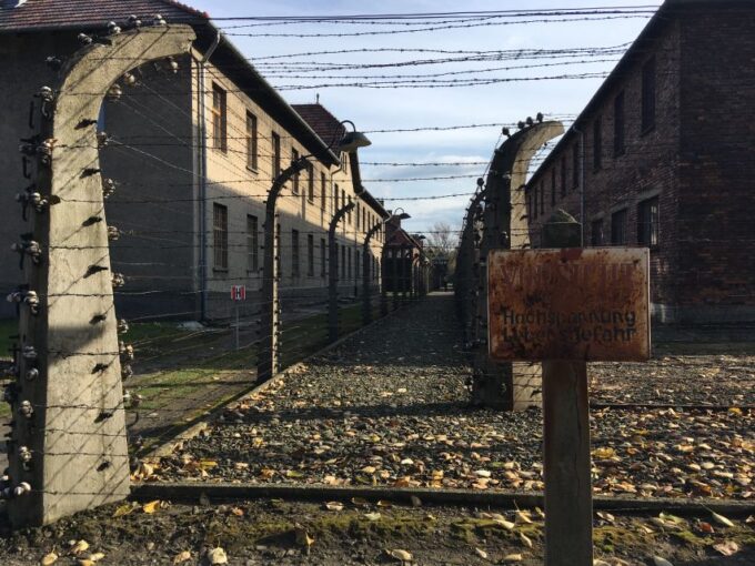 Auschwitz-Birkenau Tour From Wroclaw - Guided Tour Insights