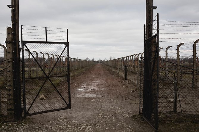 Auschwitz-Birkenau & Wieliczka in One Day Half Private Tour - Inclusions and Important Information