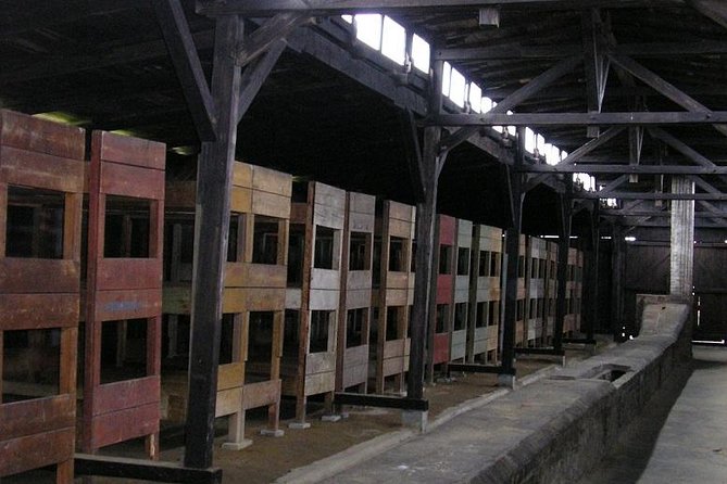 Auschwitz Guided Tour - Preparing for the Tour