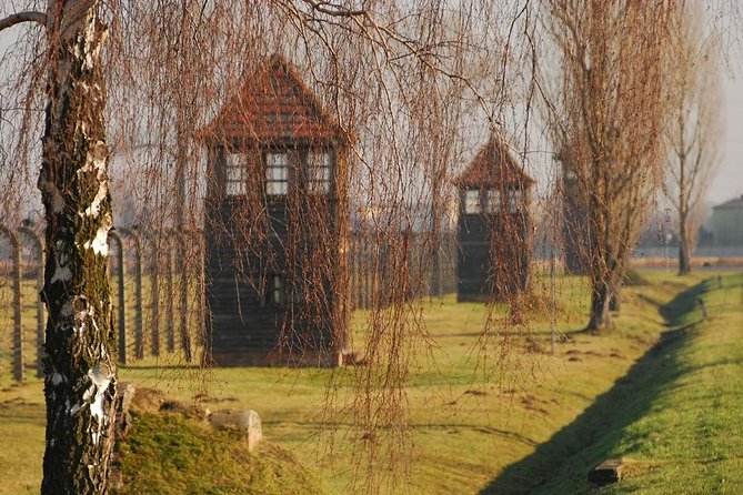 Auschwitz Guided Tour - Accessibility