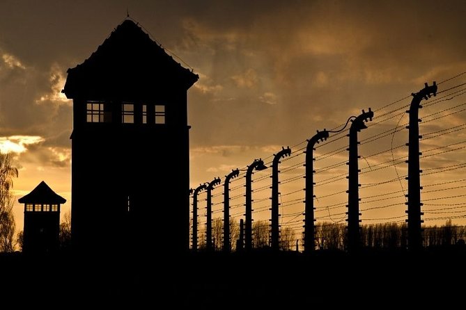 Auschwitz Small Group Tour From Warsaw With Lunch - Preserved Belongings of Prisoners