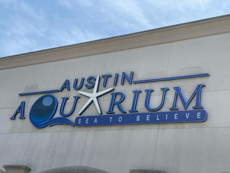 Austin Aquarium Entry Ticket - An In-Depth Look at the Austin Aquarium