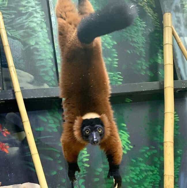 Austin Aquarium Entry Ticket - Frequently Asked Questions