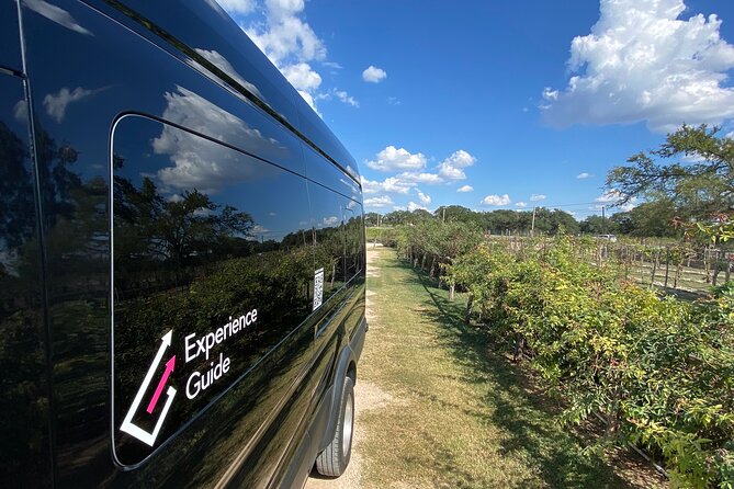 Austin Bergstrom Airport Personal Pickup for up to 14 Guests! - Accessibility and Participation