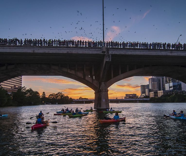 Austin: Congress Avenue Sunset Bat Kayaking Tour - Reservation and Cancellation