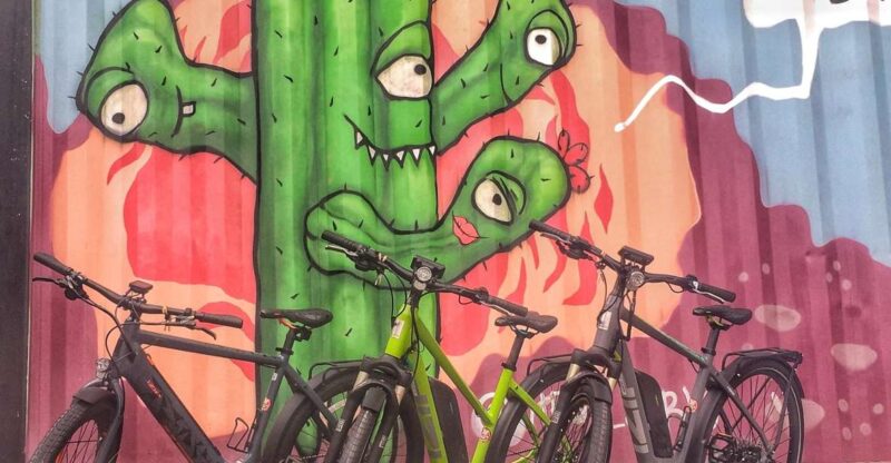 Austin: Electric Bike City Sightseeing Tour - Key Points