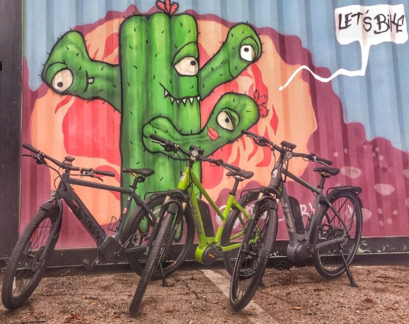 Austin: Electric Bike City Sightseeing Tour - Itinerary Details