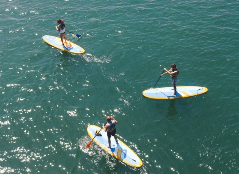 Austin: Lady Bird Lake Stand-Up Paddleboard Rental - Location and Meeting Point