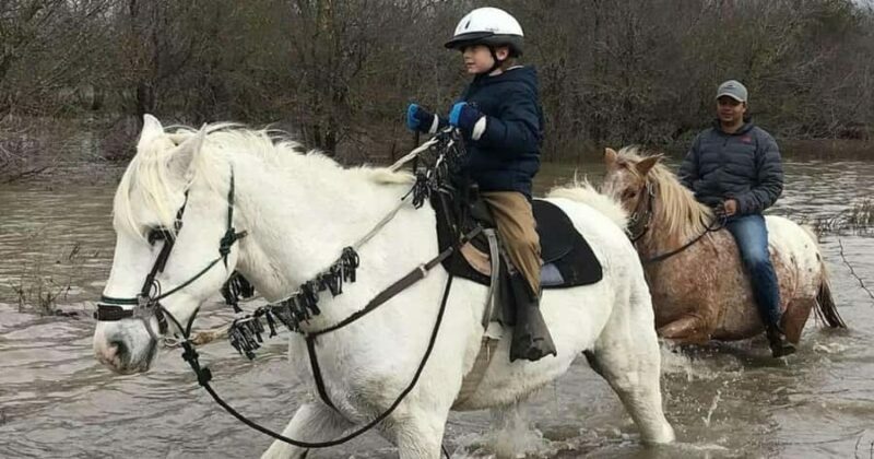 Austin: Maverick Horsemanship Trail Ride - An Authentic Trail Riding Experience in Austin