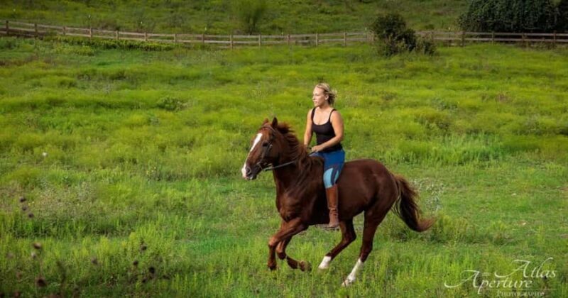 Austin: Maverick Horsemanship Trail Ride - Scenic Trails and Natural Beauty
