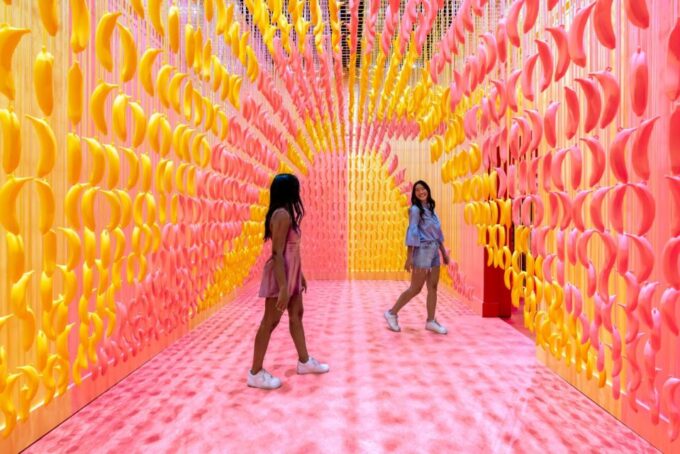 Austin: Museum of Ice Cream Admission Ticket - Group Bookings and Private Events