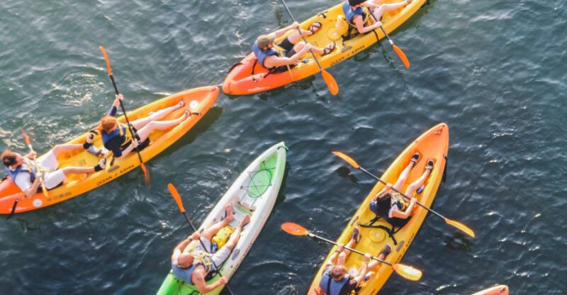 Austin: Single or Double Kayak Rental - Inclusions and Requirements
