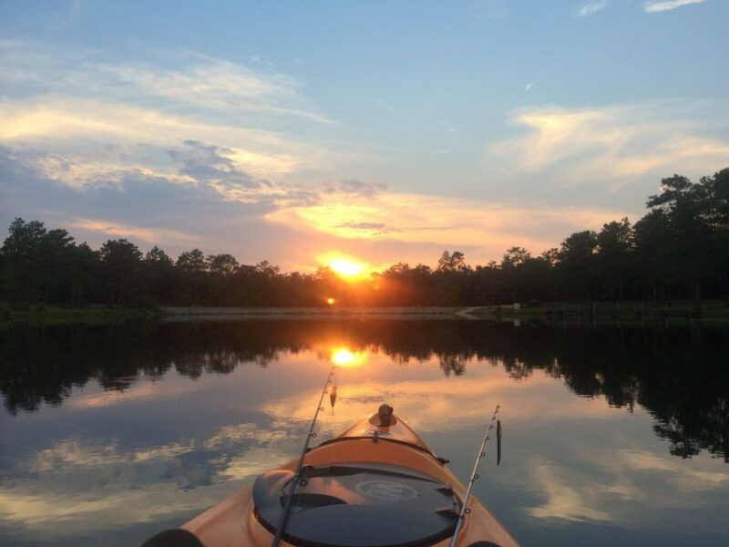 Austin: Sunset Bat Watching Kayak Tour - Experience Highlights