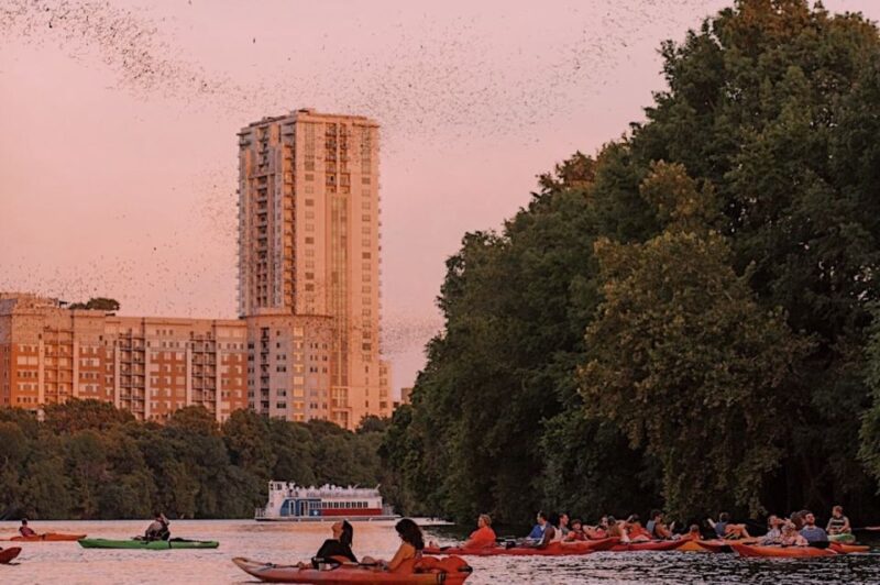 Austin: Sunset Bat Watching Kayak Tour - Tour Inclusions