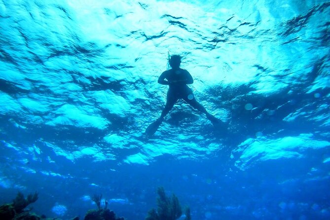 Austin Wellness Yacht Charter Experience on Lake Travis - Key Points