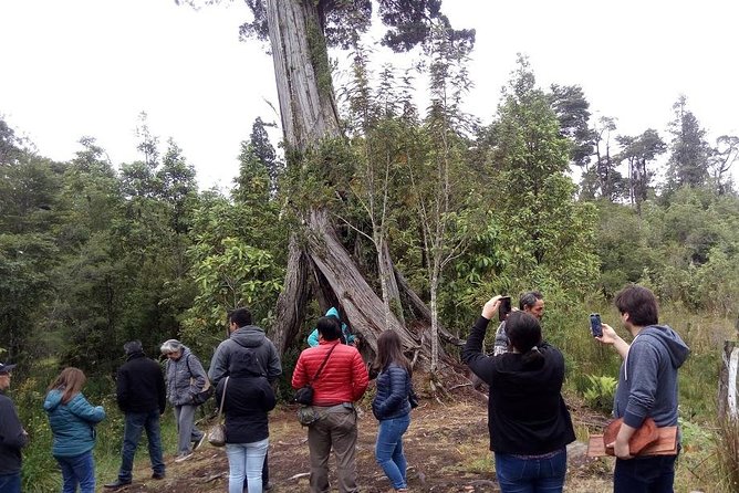 Austral / Hornopiren Road Tour - Pickup and Meeting Information