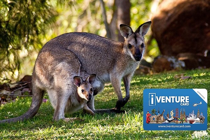 Australia Multi-City Attractions Pass - Attractions in Melbourne