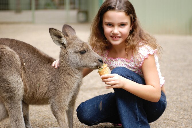 Australia Multi-City Attractions Pass - Accessibility and Restrictions