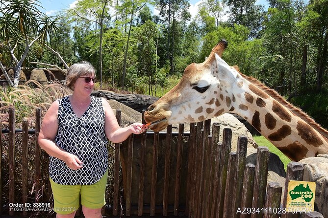 Australia Zoo Day Trip From Brisbane - Traveler Feedback and Reviews