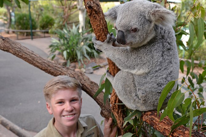 Australia Zoo Day Trip From Brisbane - Animal Encounters and Shows