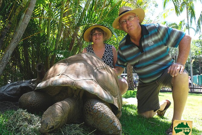 Australia Zoo Day Trip From Brisbane - Memorable Zoo Experience