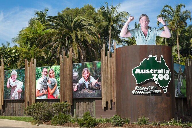 Australia Zoo Transfer from Noosa and Sunshine Coast - Discovering the Australia Zoo Transfer from Noosa and Sunshine Coast: An Honest Review