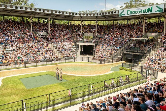 Australia Zoo Transfer from Noosa and Sunshine Coast - The Itinerary in Detail
