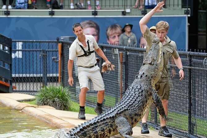 Australia Zoo Transfer from Noosa and Sunshine Coast - Authentic Experiences & Reviews