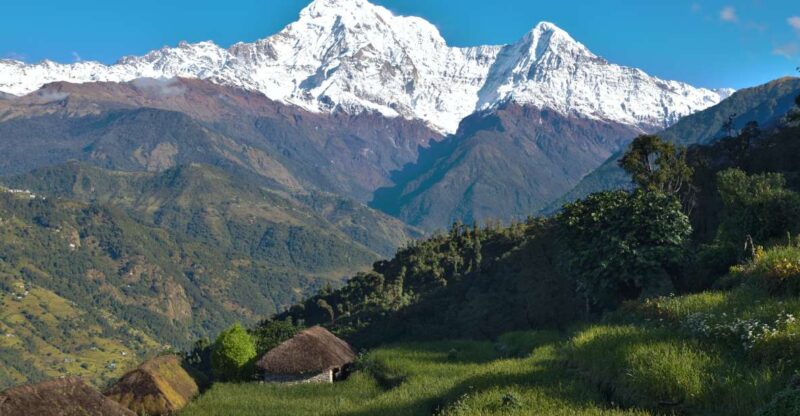 Australian Base Camp Day Hike From Pokhara - Customer Feedback and Ratings