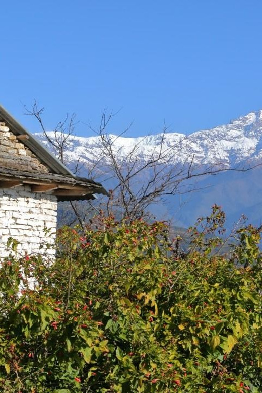 Australian Base Camp Day Hike Pokhara - Experience and Highlights
