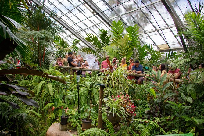 Australian Butterfly Sanctuary - Butterfly Count and Environment