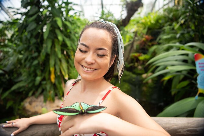 Australian Butterfly Sanctuary - Visitor Experience Activities