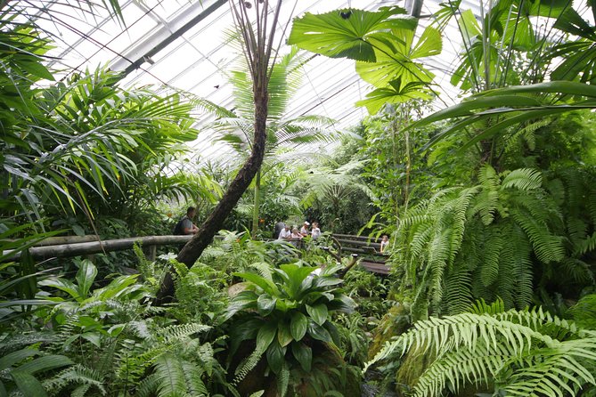 Australian Butterfly Sanctuary - Operating Hours