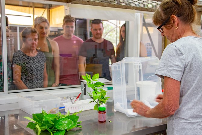 Australian Butterfly Sanctuary - Visitor Feedback Overview