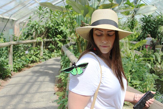 Australian Butterfly Sanctuary - Additional Nearby Attractions