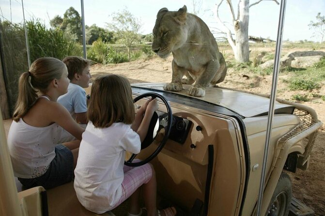 Australian Experience at Werribee Open Range Zoo - Excl. Entry - Key Points
