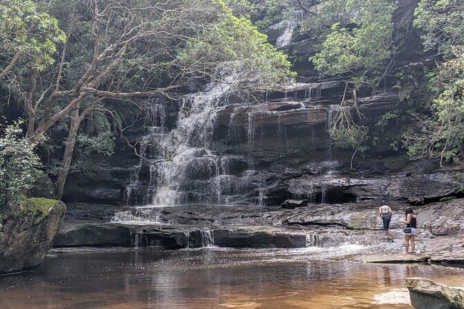 Australian Waterfalls With Koalas Kangaroos and Scenic Train Ride - National Park Waterfall Visits