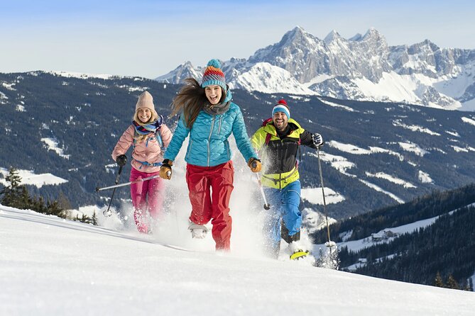 Austria Alps Skiing Private One Day Trip Vienna to Semmering - Key Points